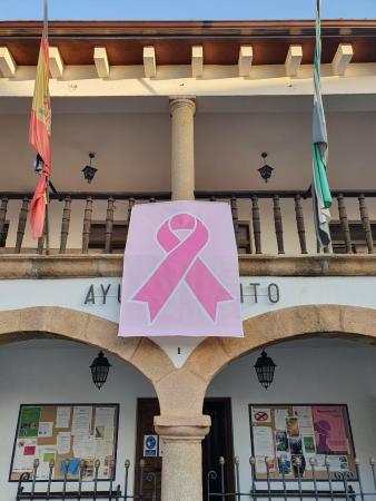 Imagen 19 de Octubre: Día Internacional de la lucha contra el cáncer de mama.
